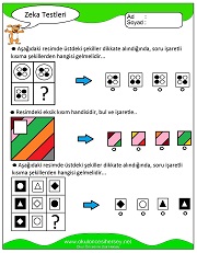 Zeka Gelişim Testleri